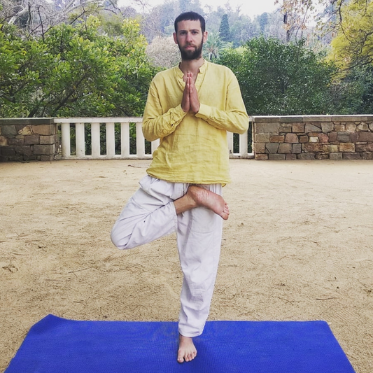 Private Yoga Instructor Yuval