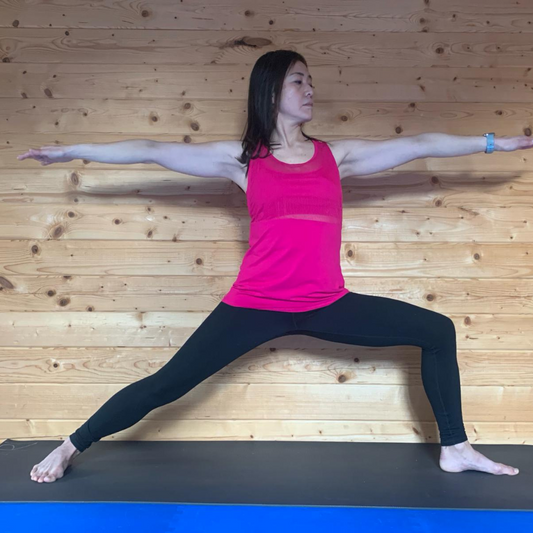 Private Yoga Instructor Mallika