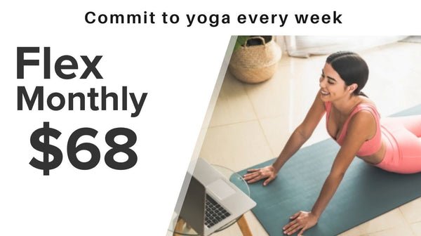 Flex Monthly Pass plan header