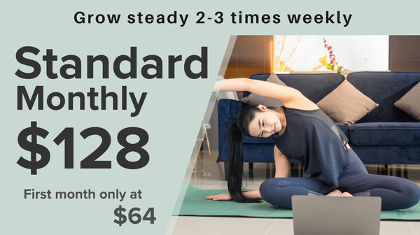 Standard Monthly Pass plan header